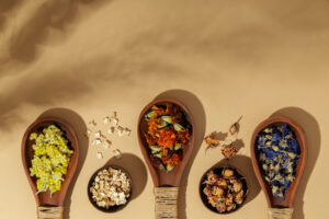 Plantes médicinales et bien être naturel