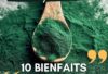 bienfaits de la Spiruline vente en ligne Tunisie