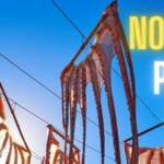 banner poulpe seche tunisie